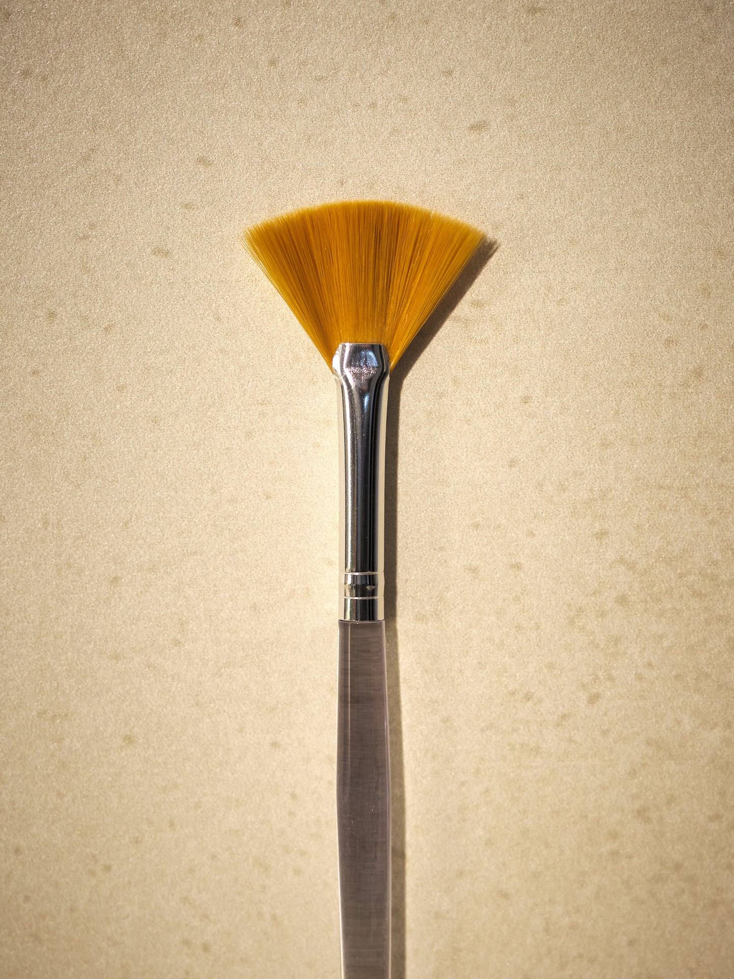 Fan Facial Brush - S
