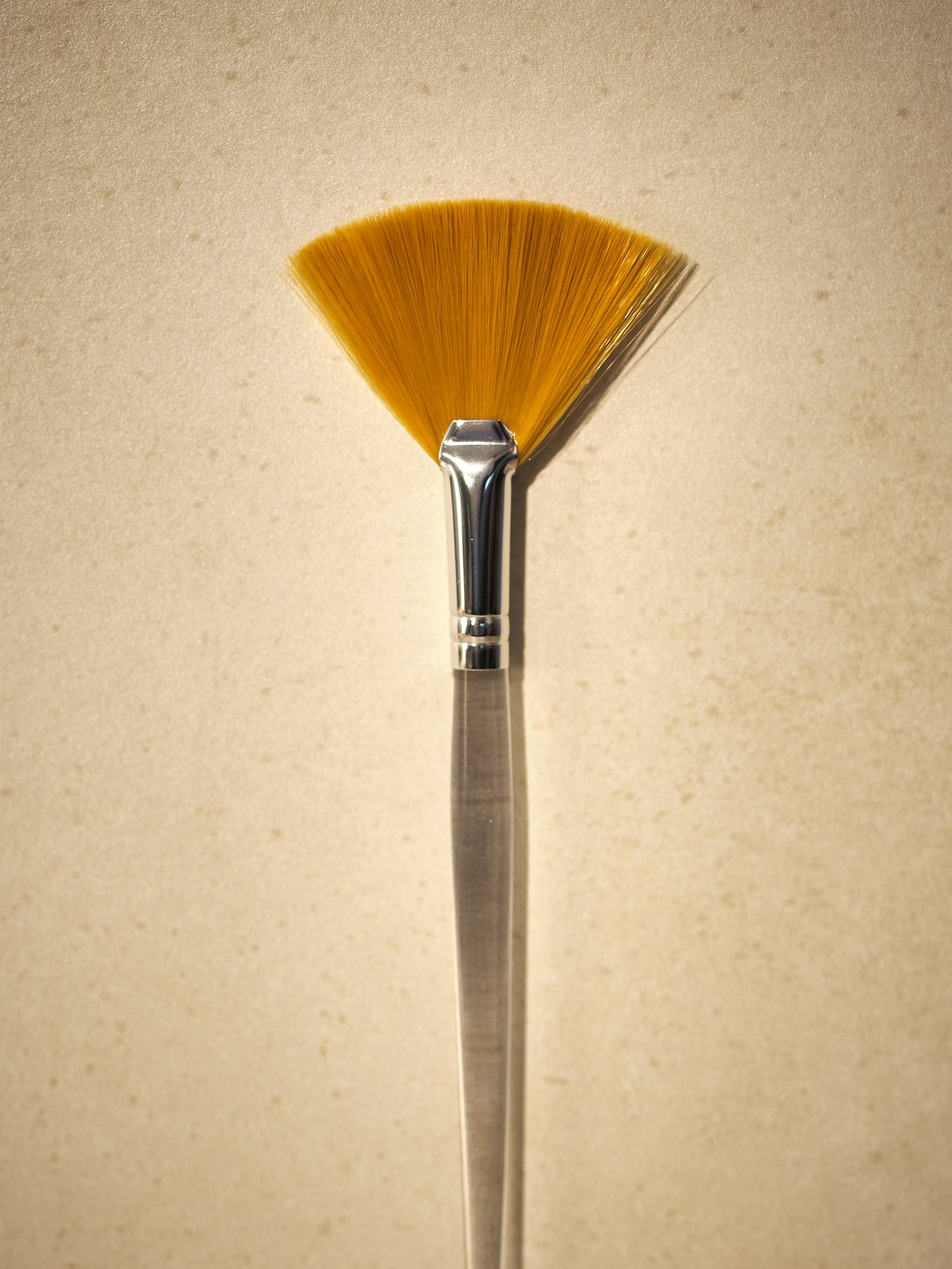 Fan Facial Brush - M