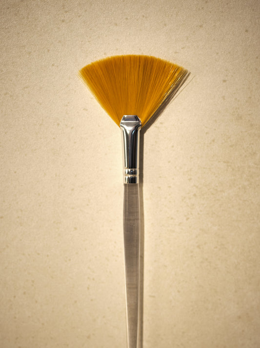 Fan Facial Brush - M
