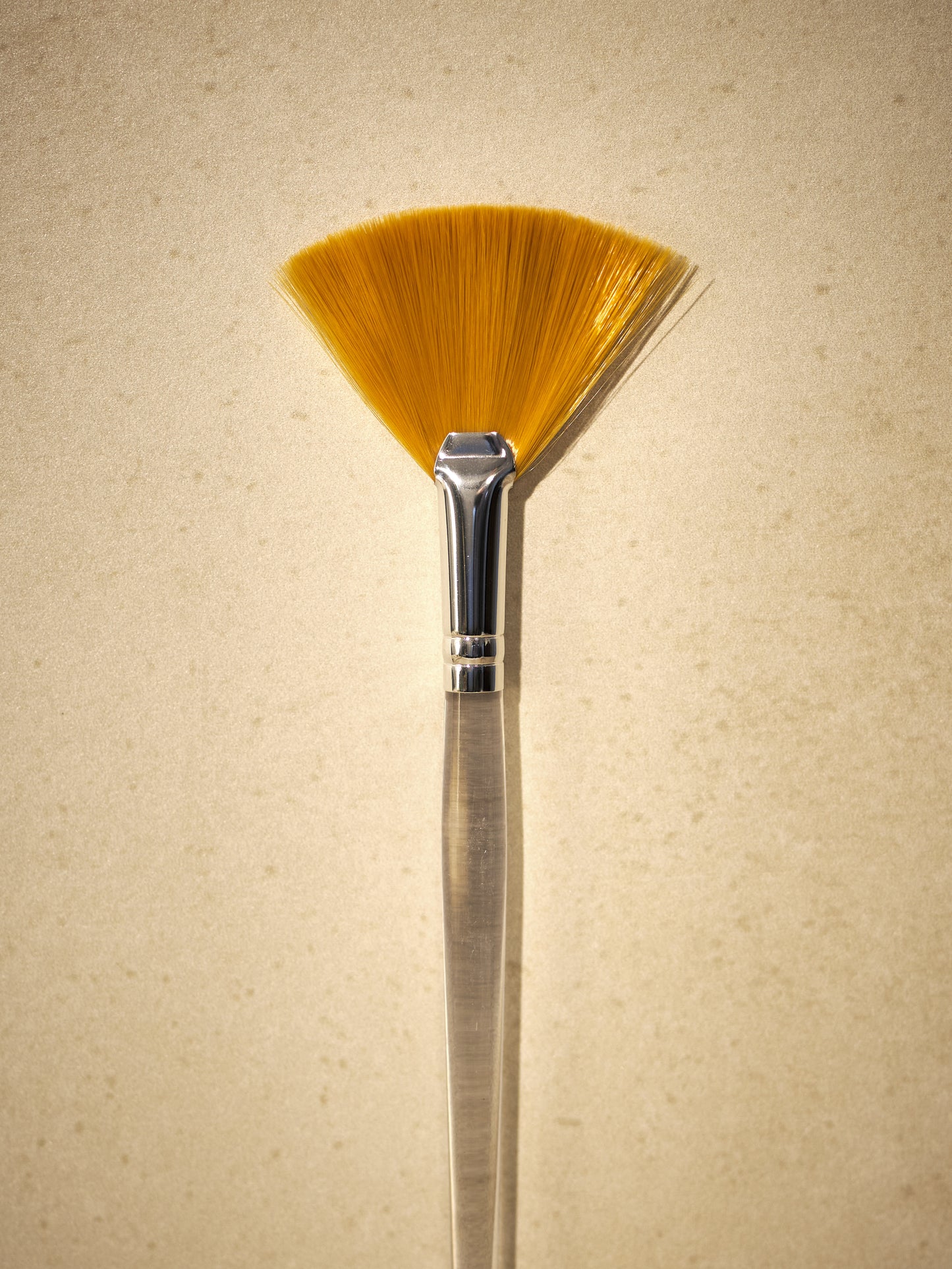 Fan Facial Brush - L